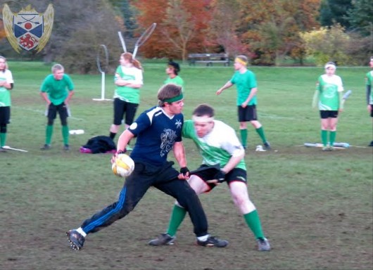 stand quidditch 2