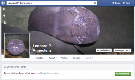 fish facebook