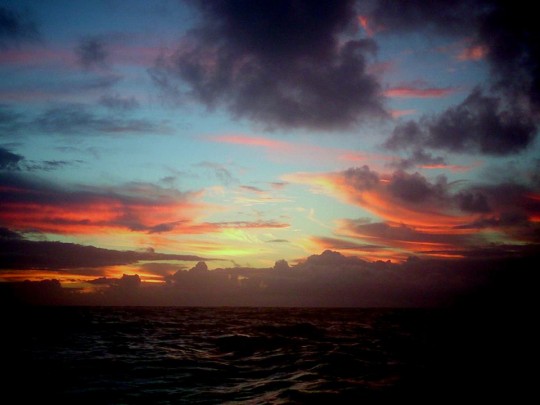 Water water everywhere: life at sea. Photo: Luke Birch