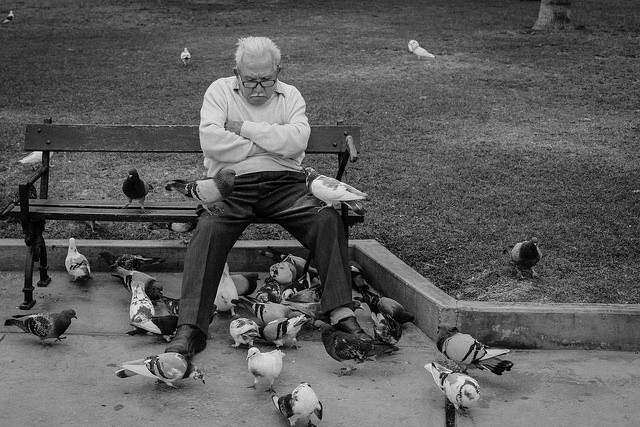 Not pictured: Steve and his pigeon