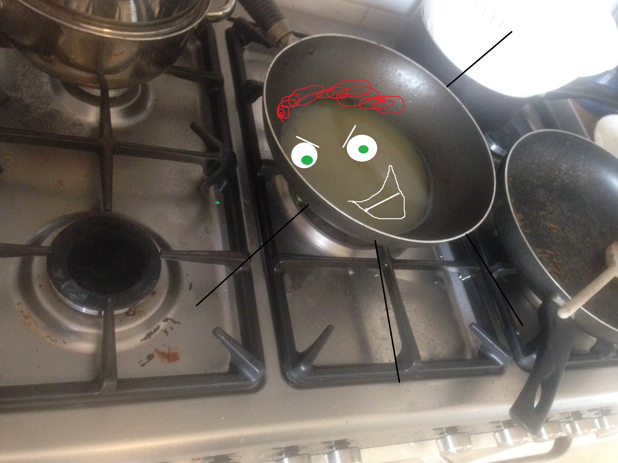 Meet 'Fat Pan', our stinkiest housemate