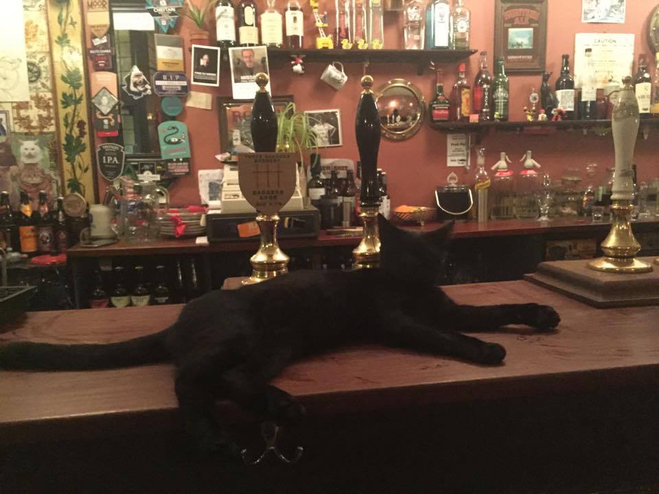 Hercules relaxin' before his next set