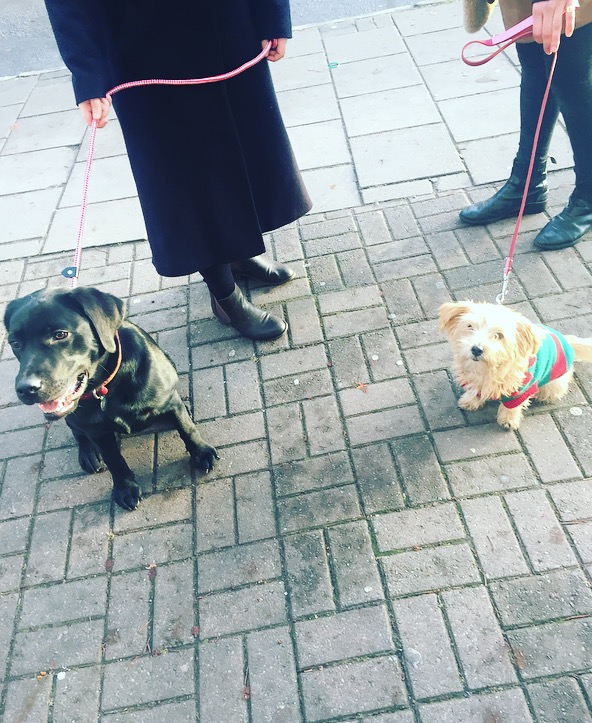 Two eager volunteers raising awareness for the charity