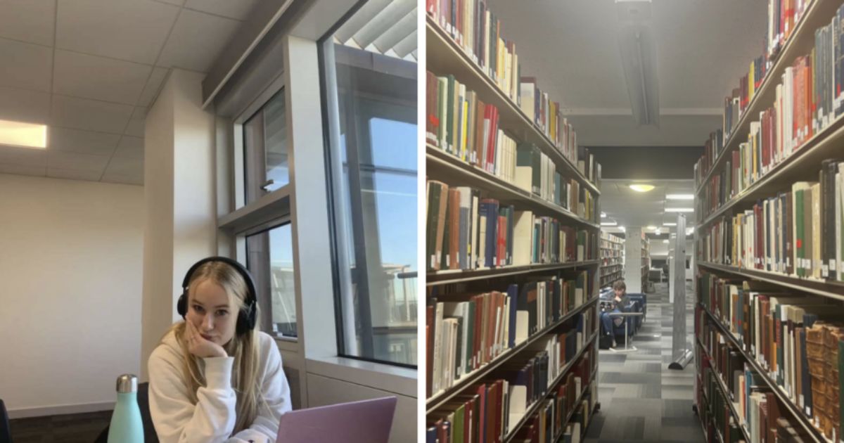 Bristol Uni students left unable to submit dissertations as Blackboard goes down