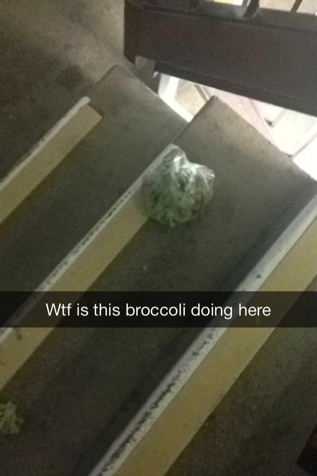 what was that broccoli doing there? Poor thing