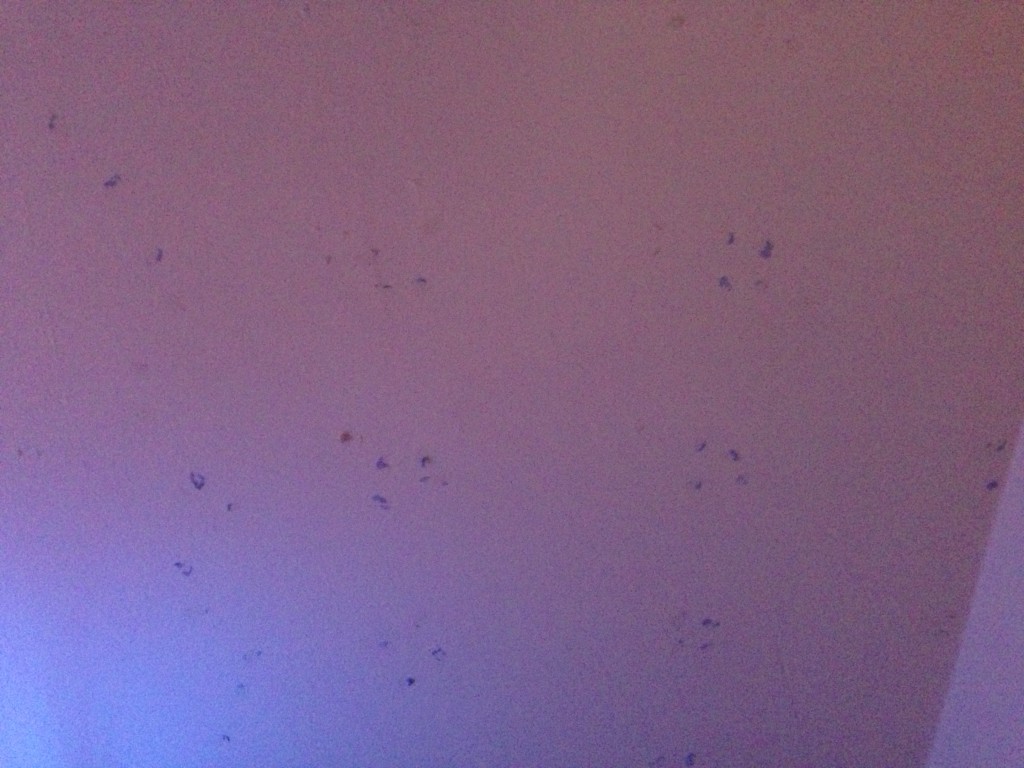 I swear they were there when I arrived