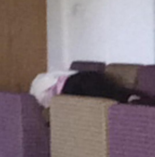 The girl has been spotted in multiple locations around campus