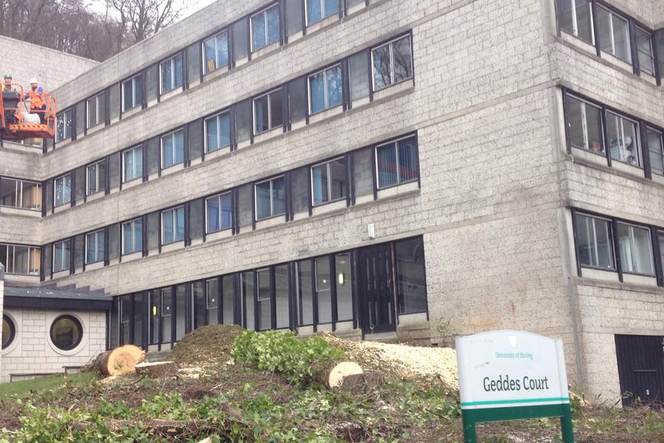 geddes construction 6