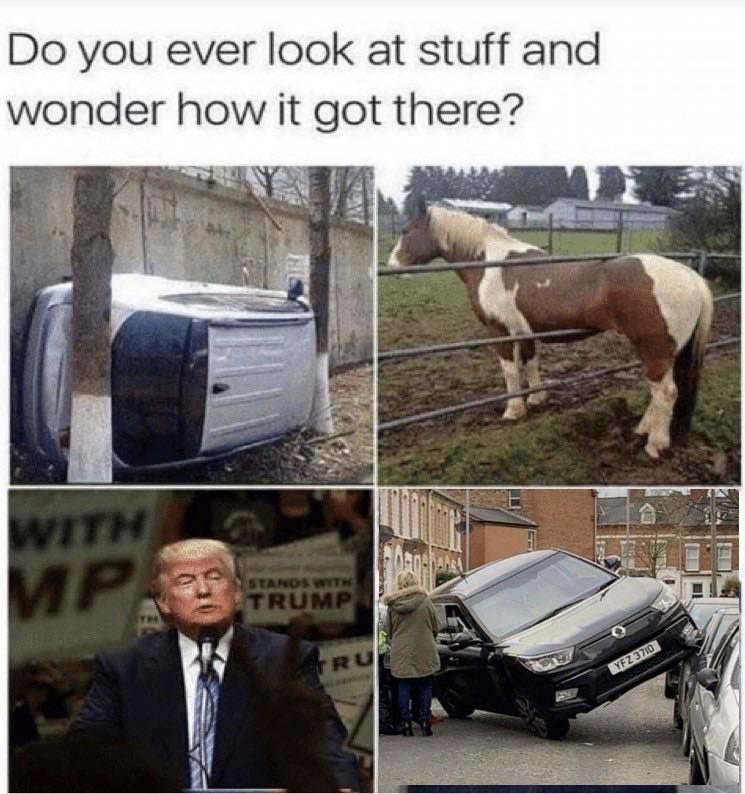 Image may contain: Car Wheel, Building, Housing, Wheel, Machine, Tire, Bumper, Clothing, Suit, Overcoat, Coat, Apparel, Animal, Mammal, Horse, Transportation, Car, Automobile, Vehicle, Person, Human