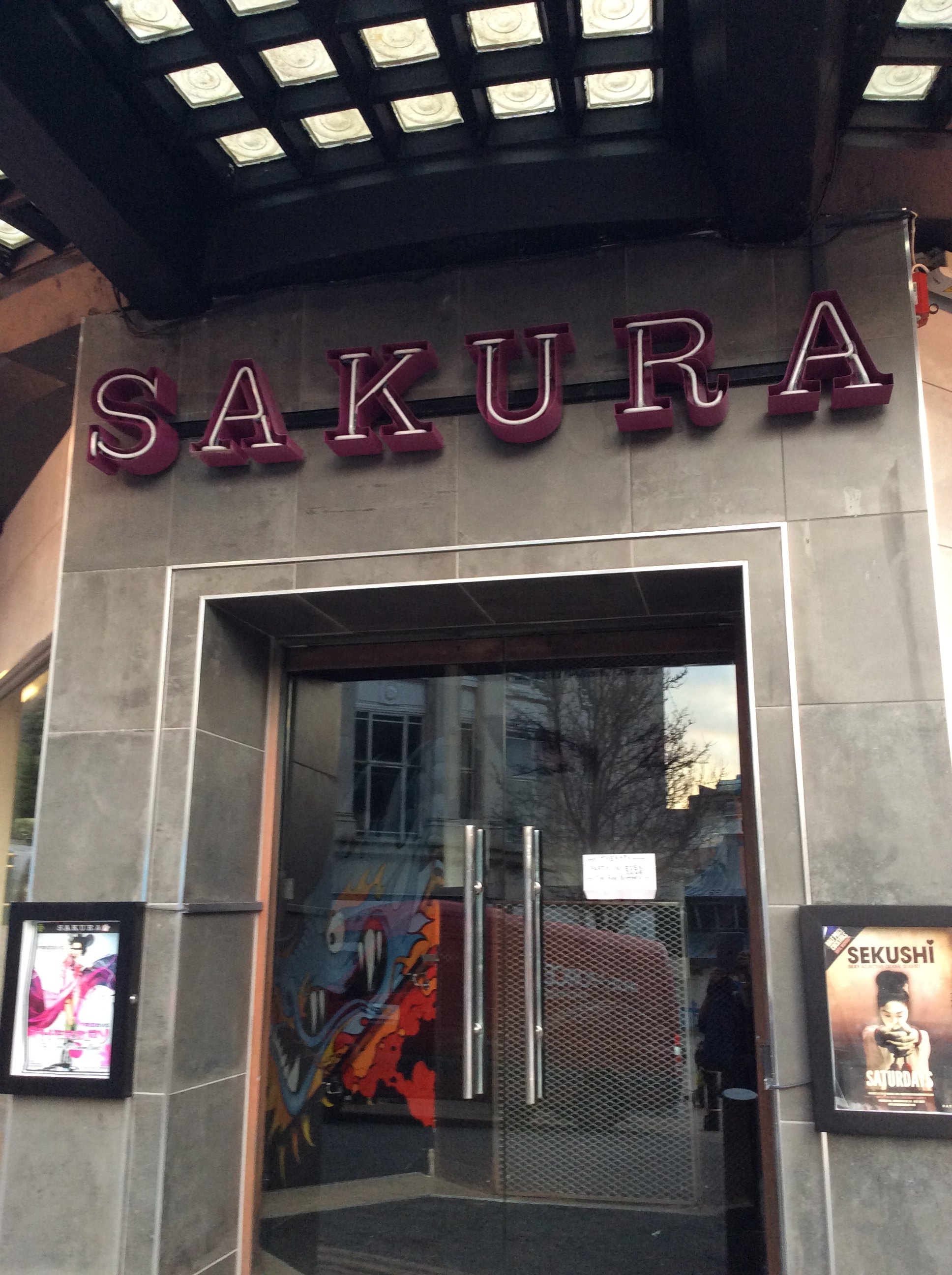 What even is a sakura anyway?