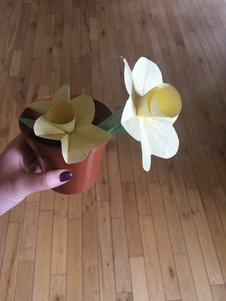 A DIY houseplant by yours truly