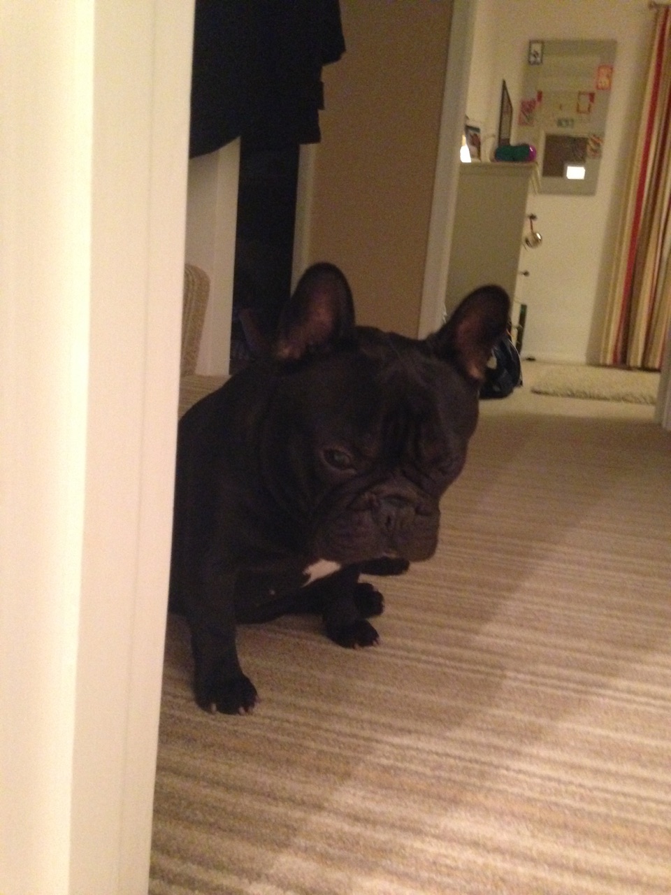 "I wouldn't let him in the toilet with me"
