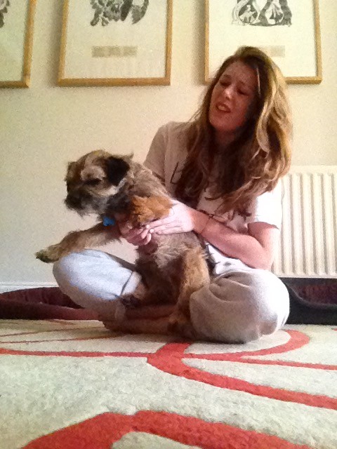 "Why couldn't I have just got a dog that likes cuddles? That's all I wanted."