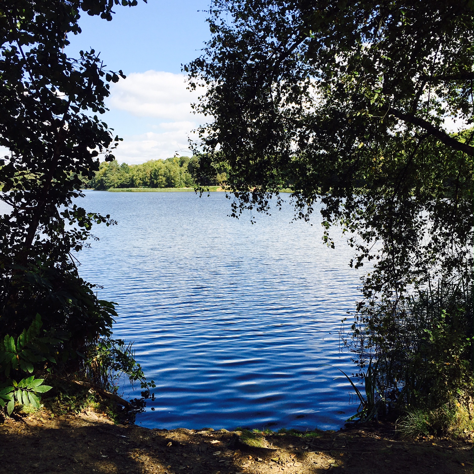Go to Virginia Water and pretend that your problems don't exist.