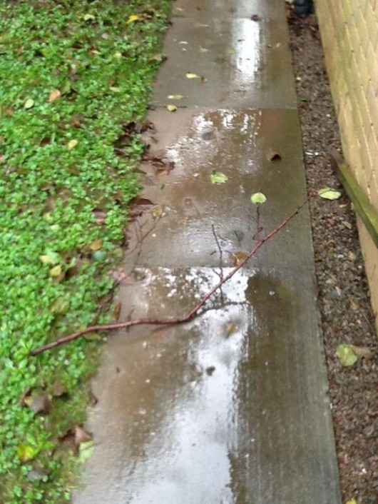 Strong winds have caused blocks on pavements. Walkers are forced to redirect their route to work.