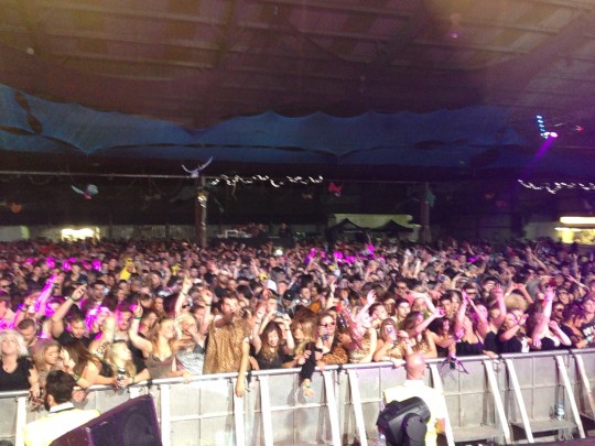 The crowd for Dimension, one of the headline acts.