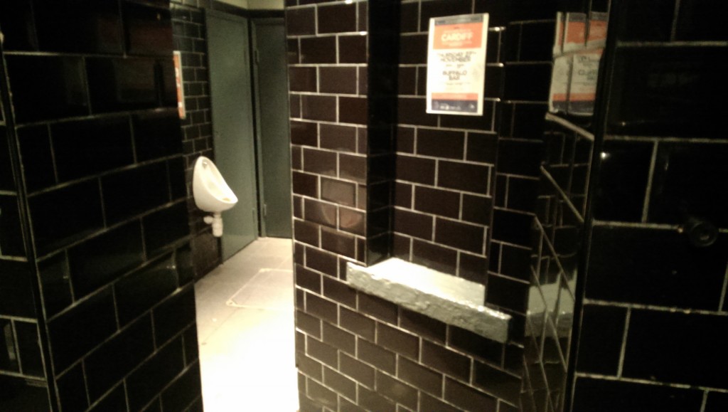 The bewitching toilets of Buffalo.