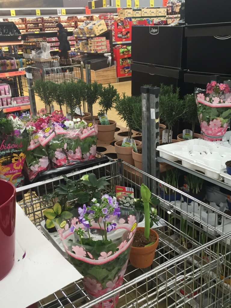 Is it a supermarket? Is it a garden center?