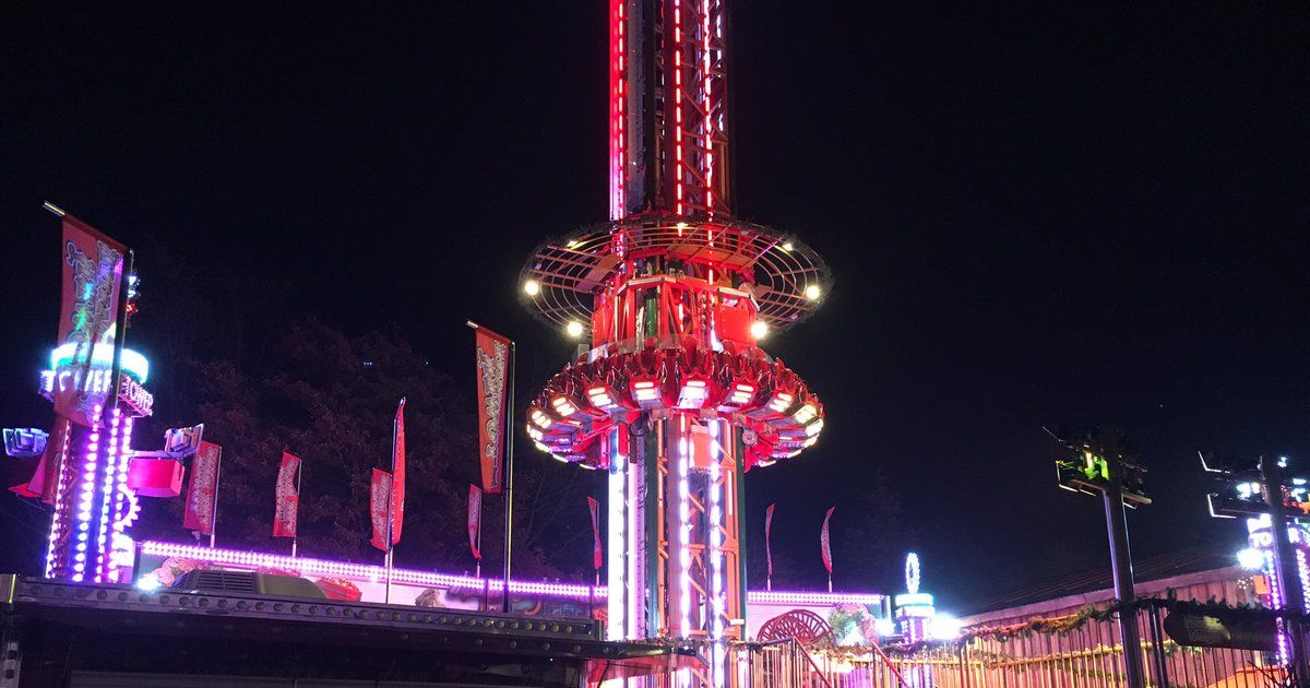 Image may contain: Ferris Wheel, Tower, City, Town, Urban, Architecture, Building, Theme Park, Amusement Park