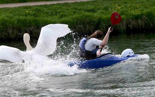 This rower will have a couple of bills to pay