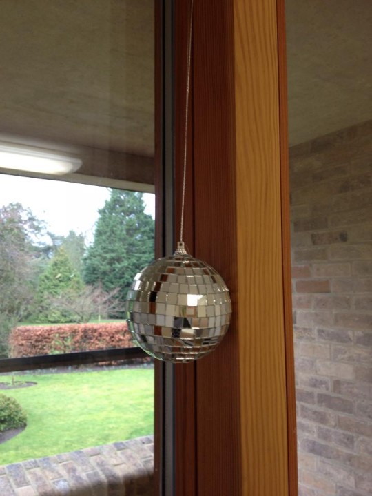 Little in size, large in fun, and now hanging (!) out in Caius