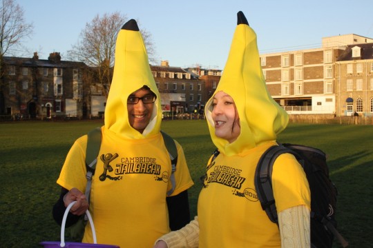 These costumes are really appeeling..