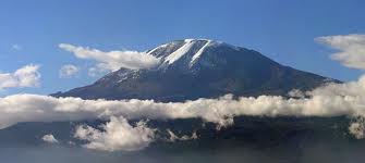 I would climb this for a fiver