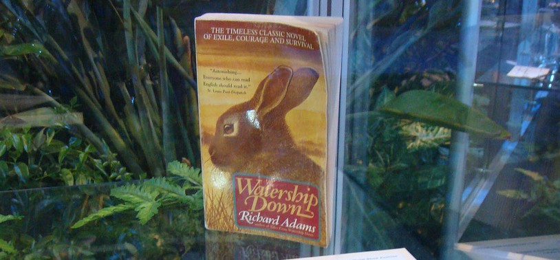 It's about rabbits