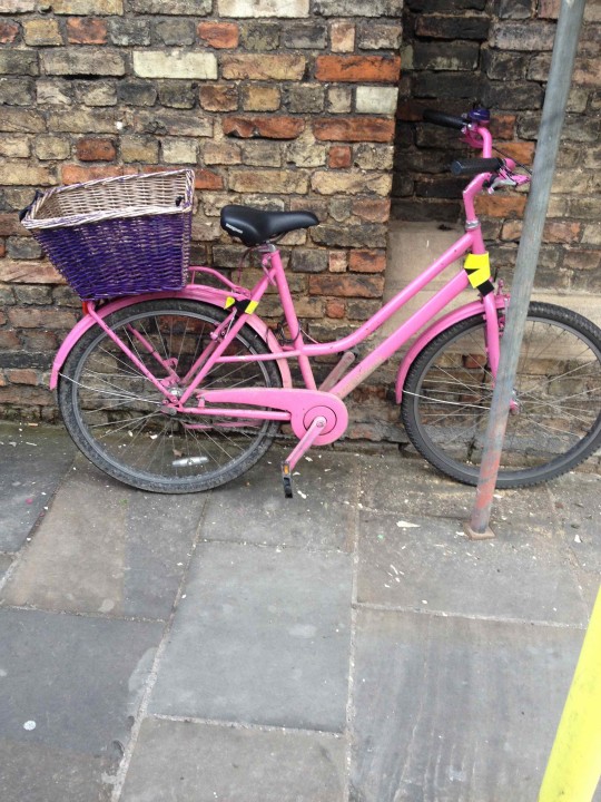 Pink panther