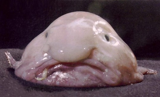 #nomakeup