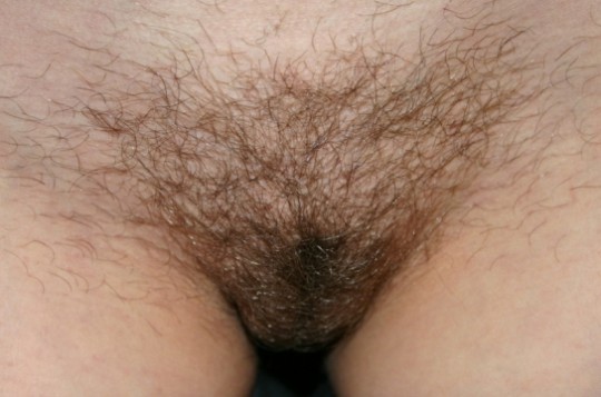 NOT shaved