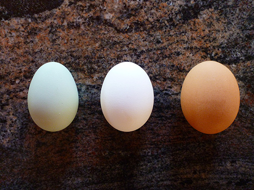 Some eggs