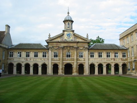 Cambridge doesn't grow on trees. Apart from the trees.