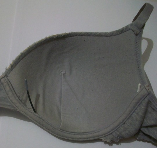 Feminism without burning one of these