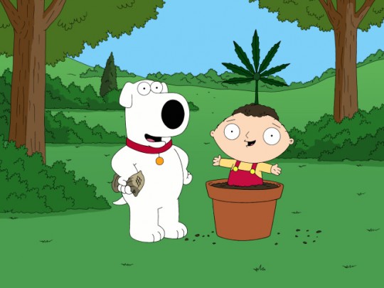Family guy hit the nail on the head: "everything is better with a bag of weed"