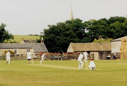 "Did I hear someone say cricket?"