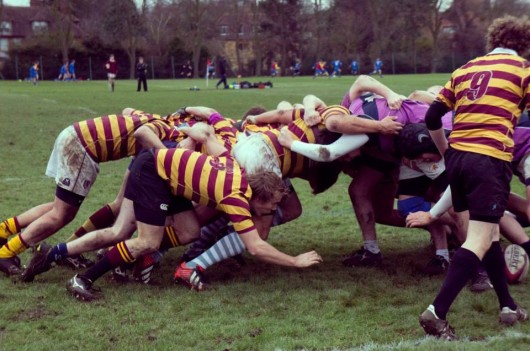 Selwyn-rugby-530x351