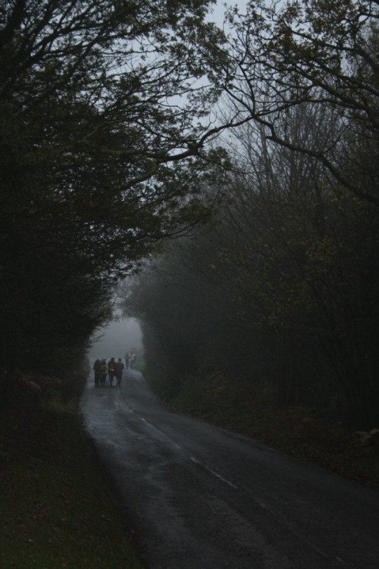 Be dropped off at a location like this...
