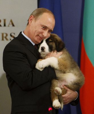 dog