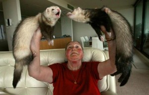 ferrit