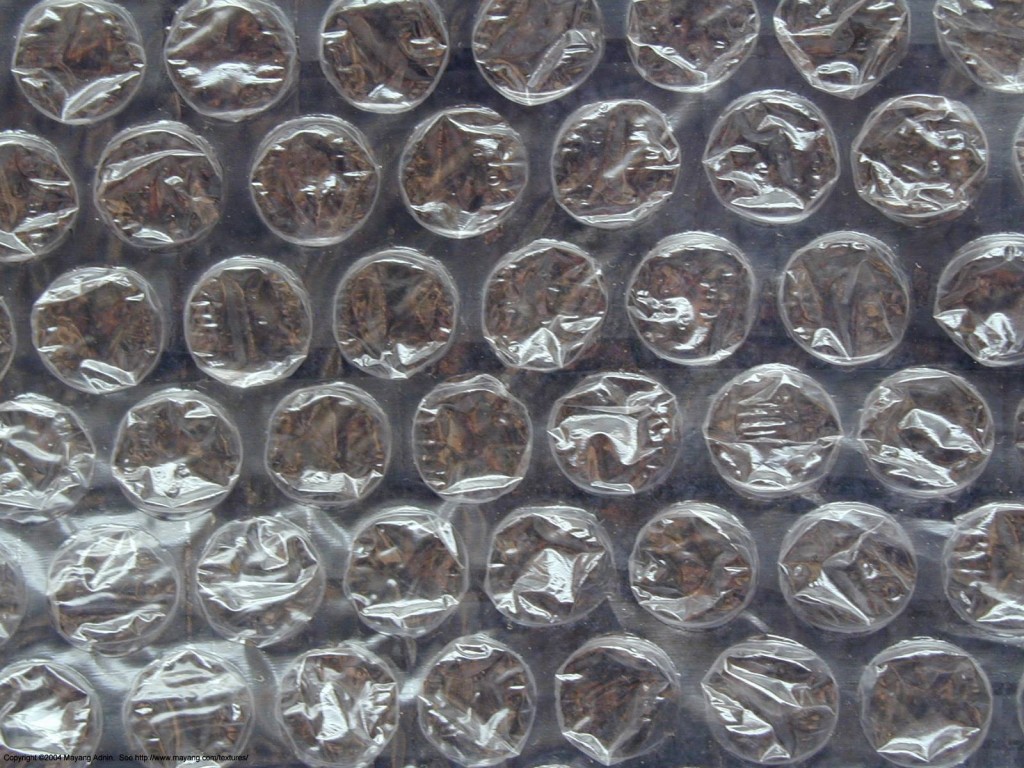 10997917_10153107558734111_845242700_o