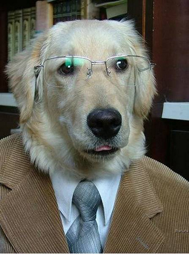 Could this have been the culprit?