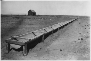 A sheep watering trough