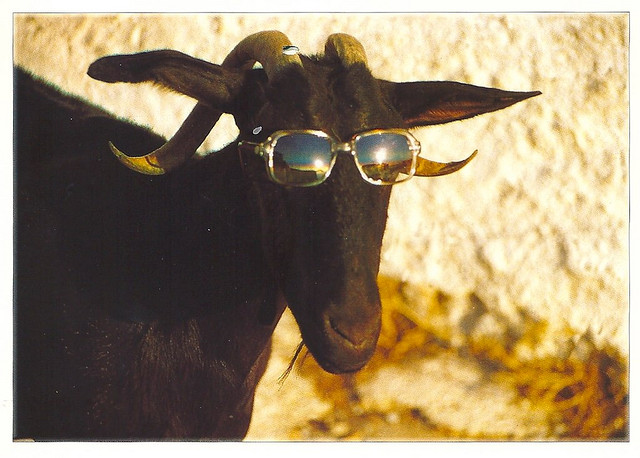 Can't touch this swag.