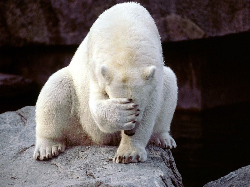 We were beaten by UAE?! Oh boy...