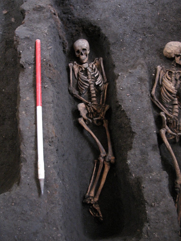 MASONS_CAMBRIDGE_BONES_05