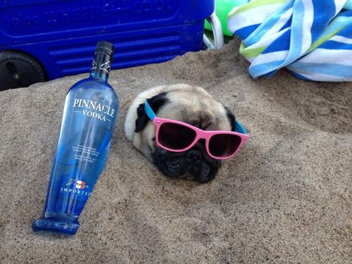 Now this guy know what being beach ready is all about