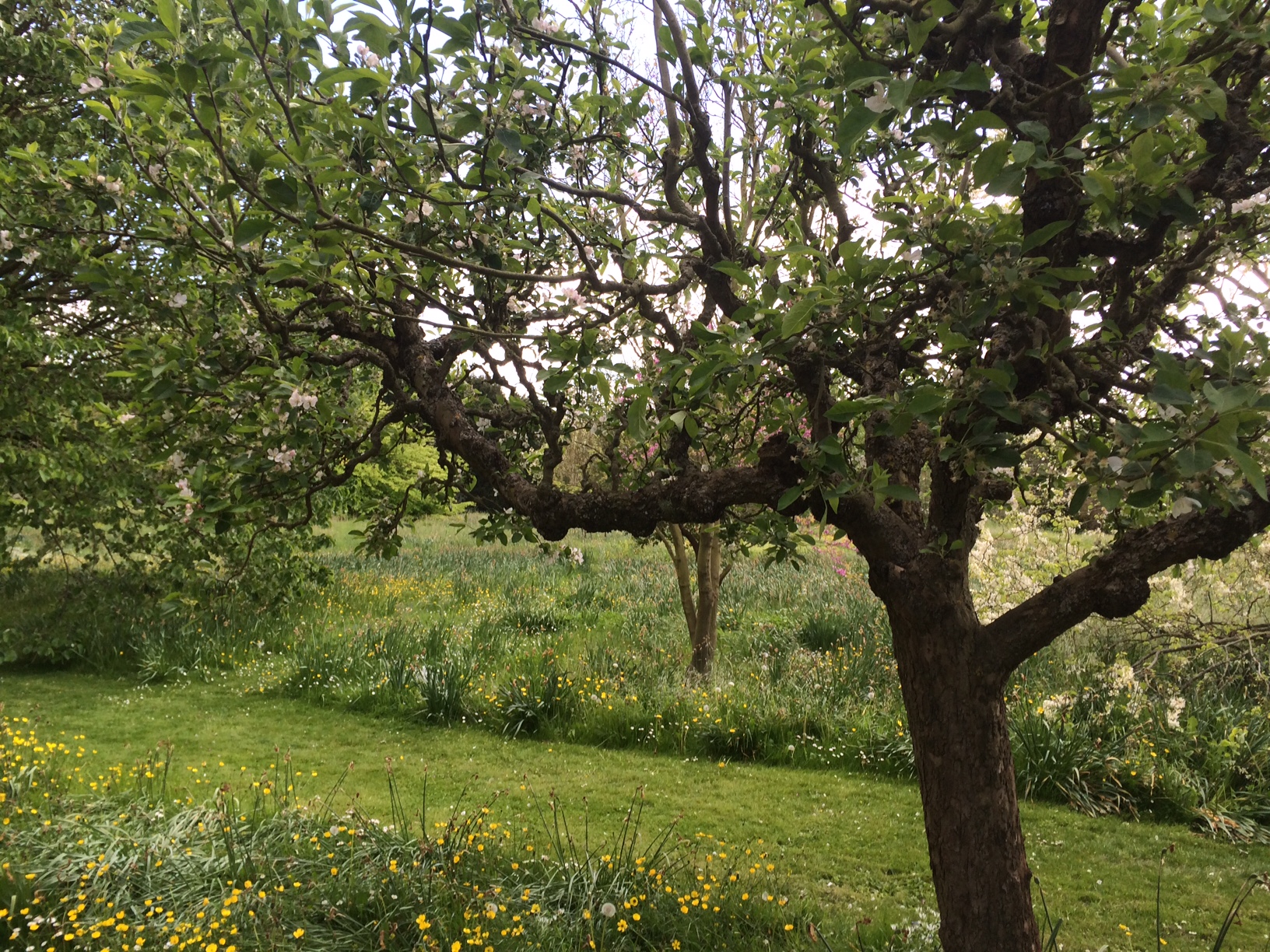 pop an antihistamine and get snuggly in the shrubbery