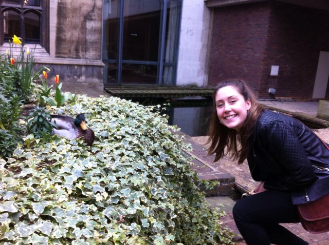 duck and Rach