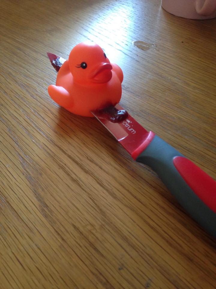 DUCK
